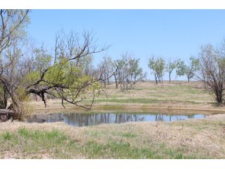 Property photo 7 - OKLAHOMA LAND AUCTION, 550+/- Acres offered in 7 Tracts